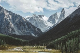 每日大赛吃瓜比热搜还离谱