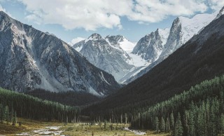看评论区更刺激，蘑菇视频ios相关搜索，不是一句话能讲清，一不留神就会理解错