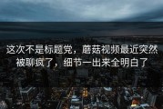这次不是标题党，蘑菇视频最近突然被聊疯了，细节一出来全明白了