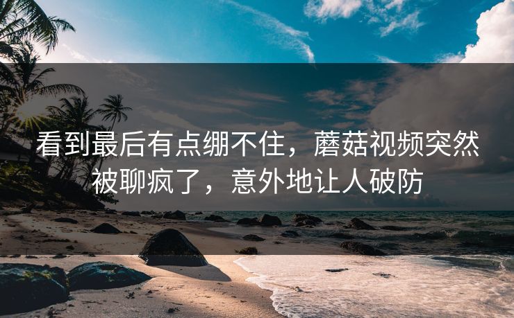 看到最后有点绷不住，蘑菇视频突然被聊疯了，意外地让人破防