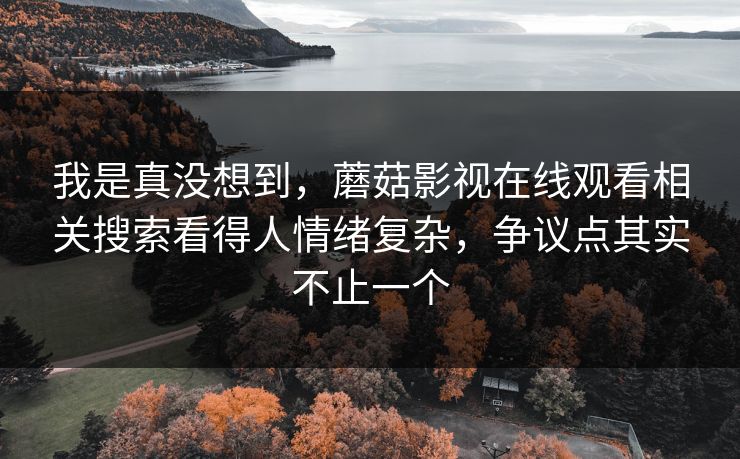 我是真没想到，蘑菇影视在线观看相关搜索看得人情绪复杂，争议点其实不止一个