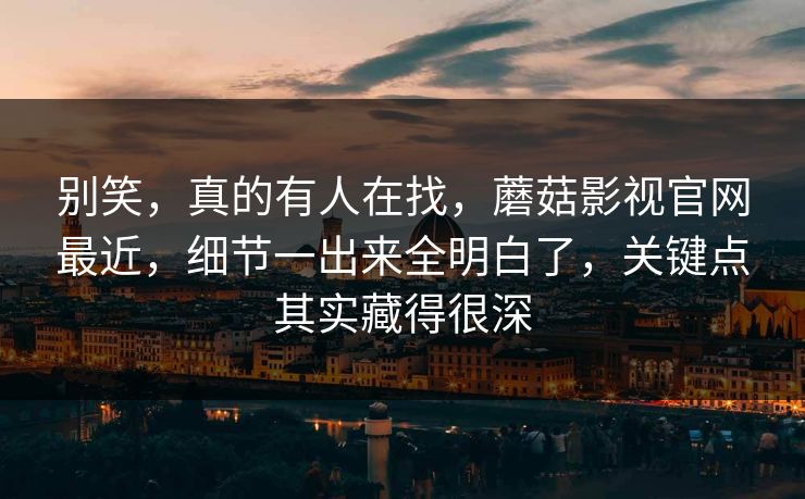 别笑，真的有人在找，蘑菇影视官网最近，细节一出来全明白了，关键点其实藏得很深