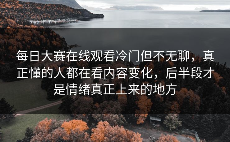 每日大赛在线观看冷门但不无聊，真正懂的人都在看内容变化，后半段才是情绪真正上来的地方