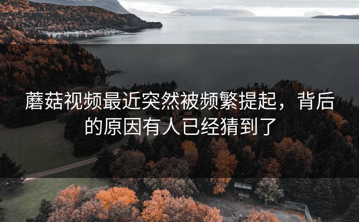 蘑菇视频最近突然被频繁提起,背后的原因有人已经猜到了 蘑菇视频最近突然被频繁提起,背后的原因有人已经猜到了