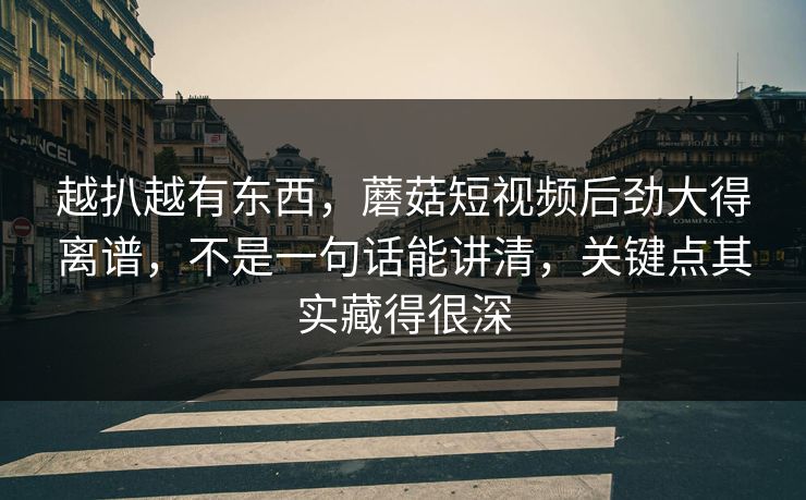 越扒越有东西，蘑菇短视频后劲大得离谱，不是一句话能讲清，关键点其实藏得很深