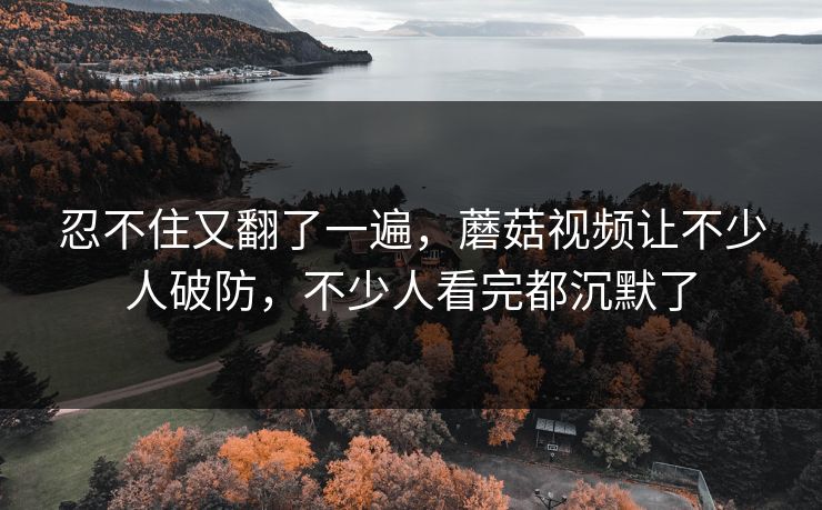 忍不住又翻了一遍，蘑菇视频让不少人破防，不少人看完都沉默了