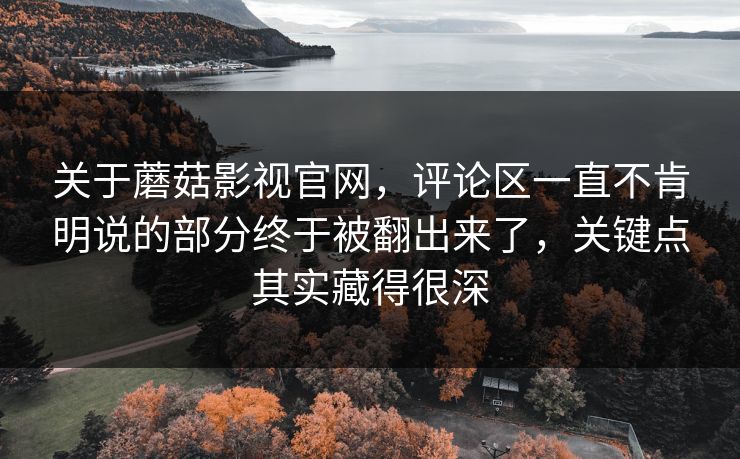 关于蘑菇影视官网,评论区一直不肯明说的部分终于被翻出来了,关键点其实藏得很深 关于蘑菇影视官网,评论区一直不肯明说的部分终于被翻出来了,关键点其实藏得很深