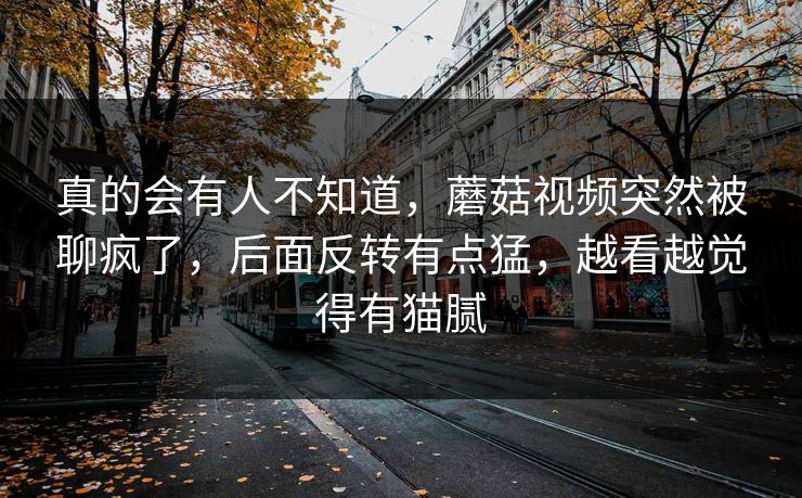 真的会有人不知道，蘑菇视频突然被聊疯了，后面反转有点猛，越看越觉得有猫腻