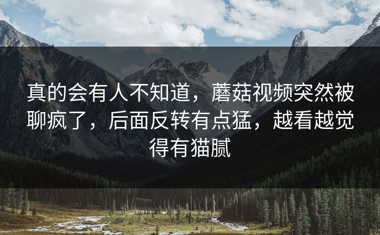 真的会有人不知道，蘑菇视频突然被聊疯了，后面反转有点猛，越看越觉得有猫腻