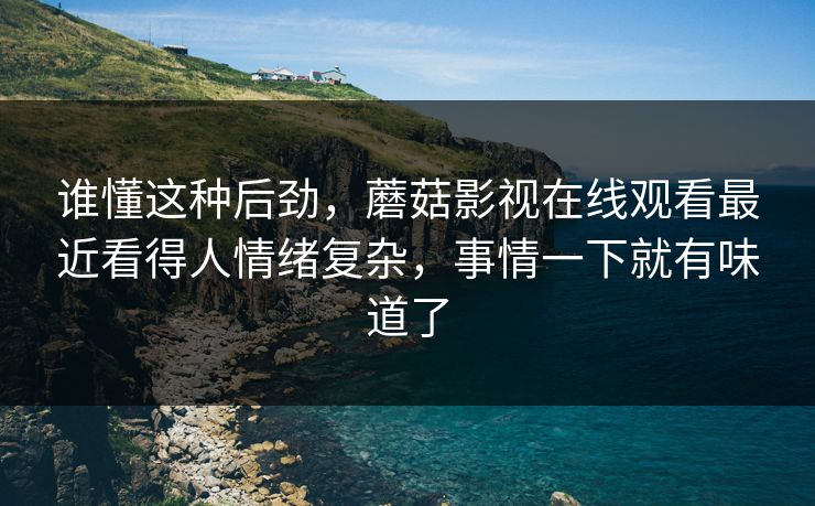 谁懂这种后劲，蘑菇影视在线观看最近看得人情绪复杂，事情一下就有味道了