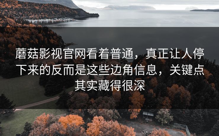 蘑菇影视官网看着普通，真正让人停下来的反而是这些边角信息，关键点其实藏得很深