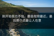 刚开始我也不信，蘑菇视频最近，最后那个点最让人在意