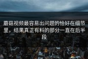 蘑菇视频最容易出问题的恰好在细节里，结果真正有料的部分一直在后半段