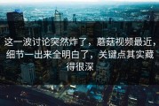 这一波讨论突然炸了，蘑菇视频最近，细节一出来全明白了，关键点其实藏得很深