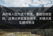 真的有人因为这个熬夜，蘑菇视频官网，这事比表面复杂得多，关键点其实藏得很深