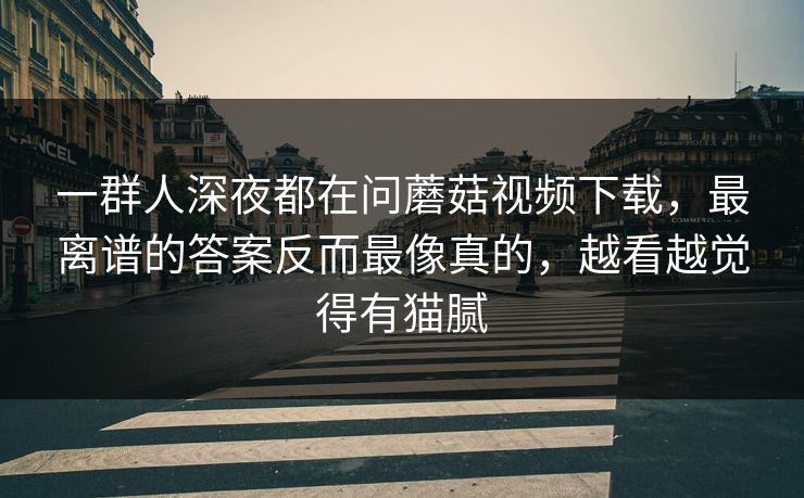 一群人深夜都在问蘑菇视频下载，最离谱的答案反而最像真的，越看越觉得有猫腻