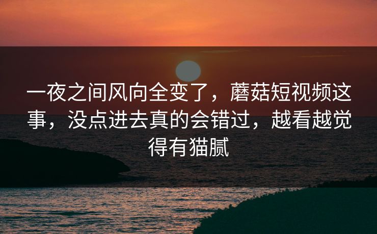 一夜之间风向全变了，蘑菇短视频这事，没点进去真的会错过，越看越觉得有猫腻