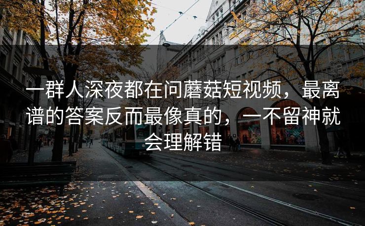 一群人深夜都在问蘑菇短视频，最离谱的答案反而最像真的，一不留神就会理解错