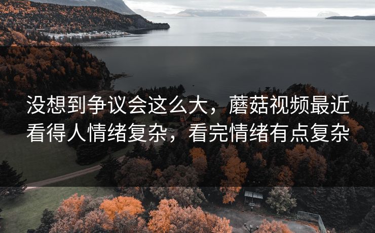 没想到争议会这么大，蘑菇视频最近看得人情绪复杂，看完情绪有点复杂
