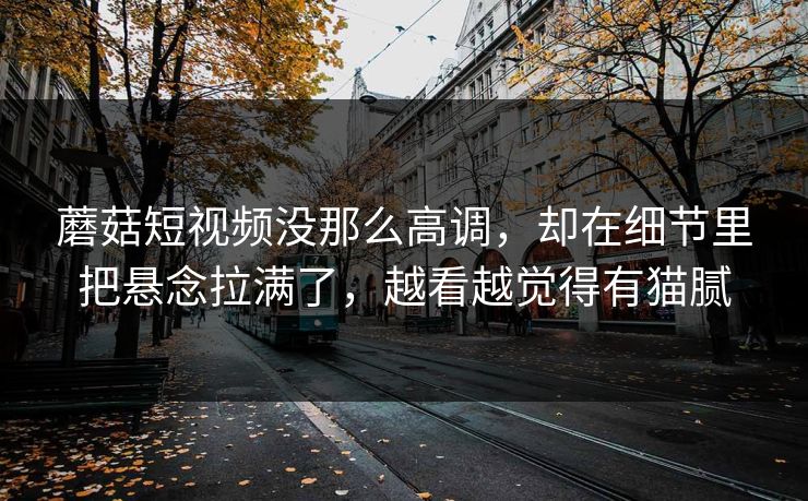 蘑菇短视频没那么高调,却在细节里把悬念拉满了,越看越觉得有猫腻 蘑菇短视频没那么高调,却在细节里把悬念拉满了,越看越觉得有猫腻