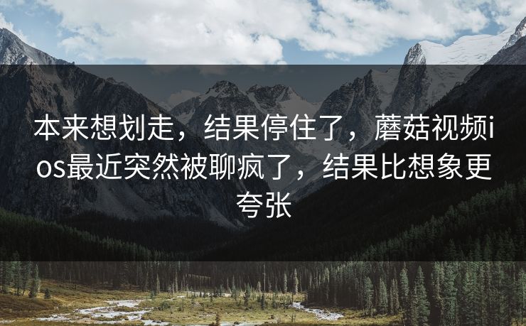 本来想划走，结果停住了，蘑菇视频ios最近突然被聊疯了，结果比想象更夸张