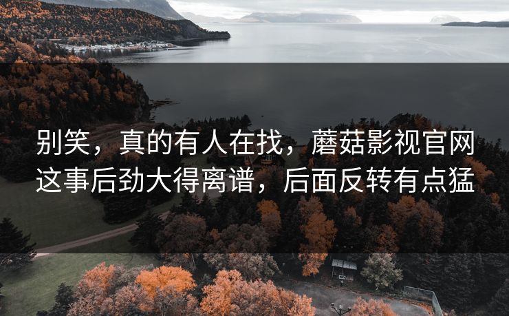 别笑,真的有人在找,蘑菇影视官网这事后劲大得离谱,后面反转有点猛 别笑,真的有人在找,蘑菇影视官网这事后劲大得离谱,后面反转有点猛