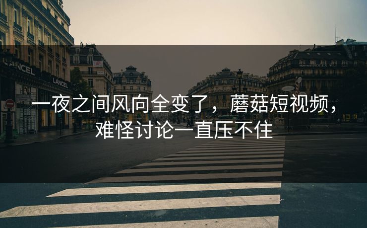 一夜之间风向全变了，蘑菇短视频，难怪讨论一直压不住
