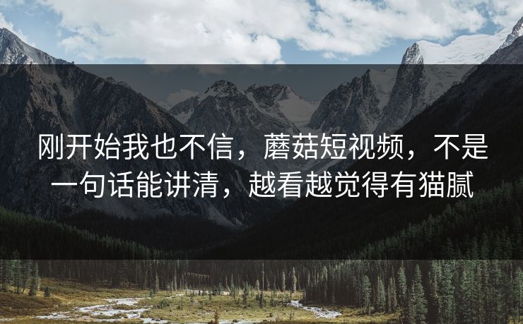 刚开始我也不信，蘑菇短视频，不是一句话能讲清，越看越觉得有猫腻