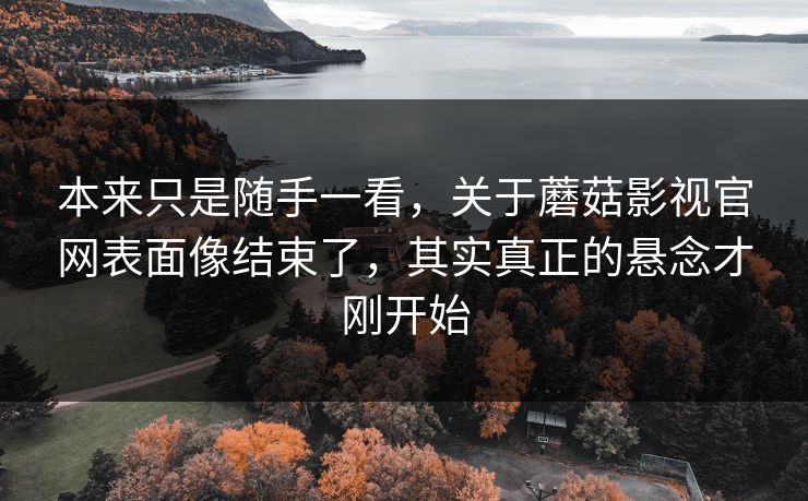 本来只是随手一看，关于蘑菇影视官网表面像结束了，其实真正的悬念才刚开始