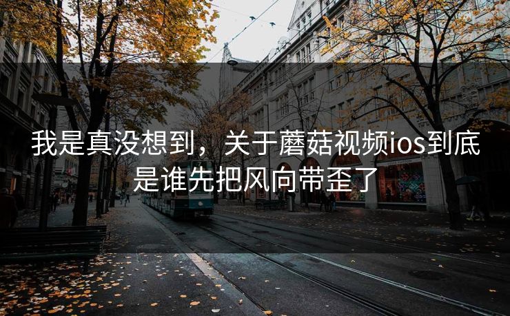 我是真没想到,关于蘑菇视频ios到底是谁先把风向带歪了 我是真没想到,关于蘑菇视频ios到底是谁先把风向带歪了