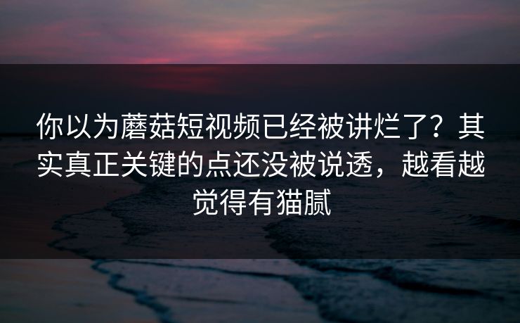 你以为蘑菇短视频已经被讲烂了?其实真正关键的点还没被说透,越看越觉得有猫腻 你以为蘑菇短视频已经被讲烂了?其实真正关键的点还没被说透,越看越觉得有猫腻