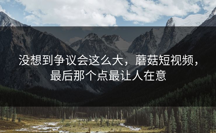 没想到争议会这么大，蘑菇短视频，最后那个点最让人在意